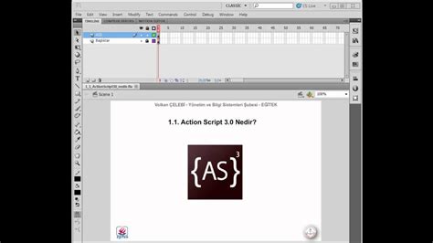 Image result for ActionScript 3.0