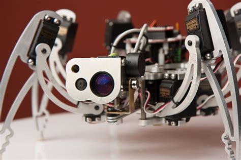 Real Robot Projects 的图像结果