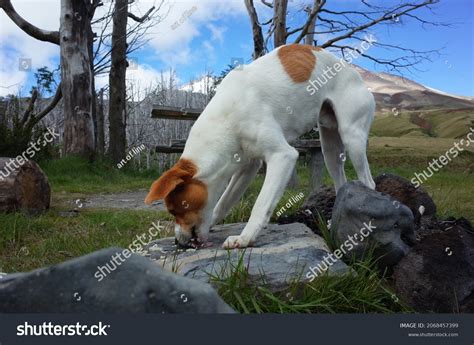 Image result for Arch Pic Example