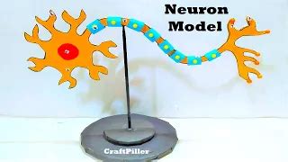 Image result for Neuron Project with Thread