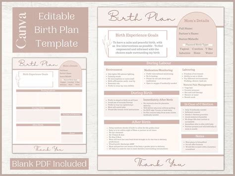 Editable Birth Plan Template | Printable Birthing Plan | Labour and Delivery Preferences ...