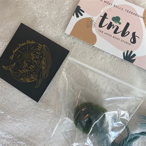 Image result for Java Moss Ball