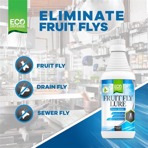 Fruit Fly Trap | Eco Defense