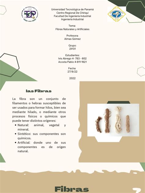 Fibras Textiles 的图像结果