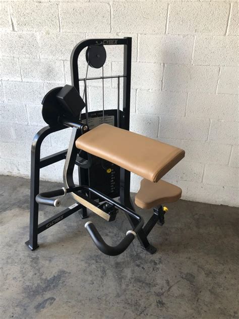 Image result for Cybex Arm Curl Machine