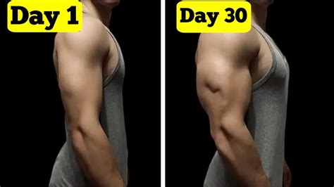 Image result for Testing Triceps