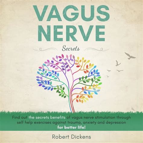 Vagus Nerve Secrets: Find out the secrets benefits of vagus nerve ...