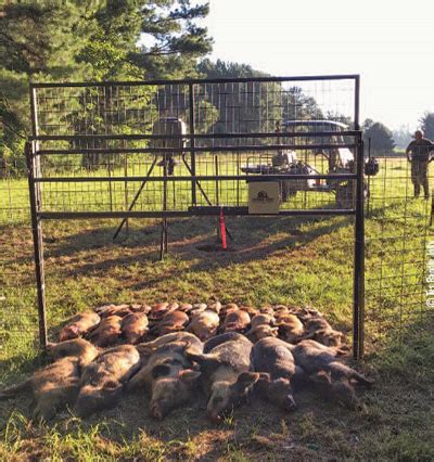 Hog Trap Shooting 的图像结果