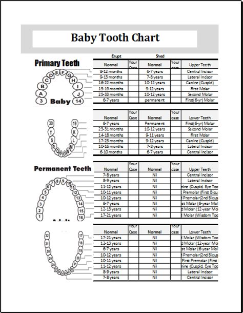 Image result for Tooth Growth Chart