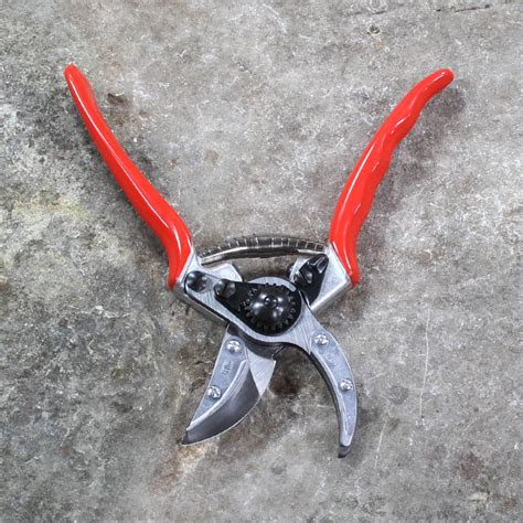 Cut N Hold Rose Pruning Shears F100 by Felco – seaool