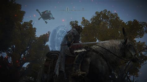 Elden Ring Chelona's Rise Puzzle Solution: Seek 3 Great Wise Beasts ...