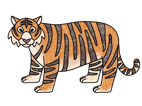 How to create a nice drawing of - 202 How To Draw A Tiger Cub Steps how ...