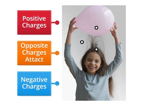 Image result for 3 Examples of Static Electricity