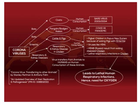 COVID 19 : Human Consumption of Pangolin/Badgers caused the Pandemic ...