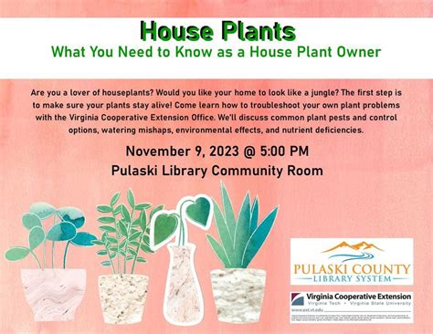 House Plants: What You Need to Know as a House Plant Owner, Pulaski ...