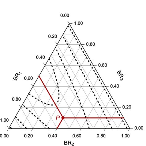 Ternary Example 的图像结果
