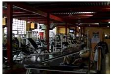 palestre gymnasium pavia palestre gymnasium la tua palestra a pavia palestre gymnasium pavia palestre gymnasium la tua palestra a pavia