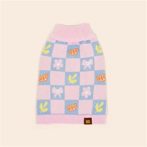 Sunbean's Dachshund Dog Clothes: Fun, Stylish, & Comfy Apparel