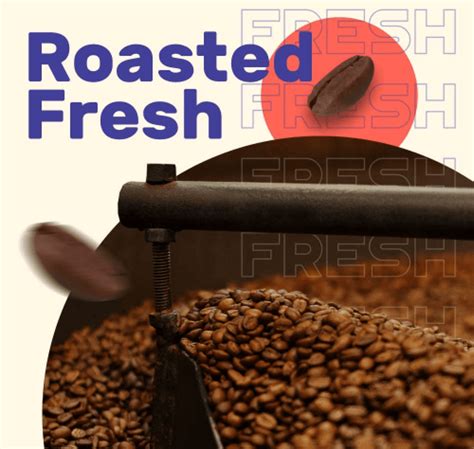 Buy Original Hot Brew Coffee Bags Online in India | Sleepy Owl – Sleepy ...