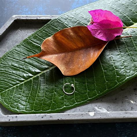 Small Classic Silver Nose Ring – Gypsy Maal