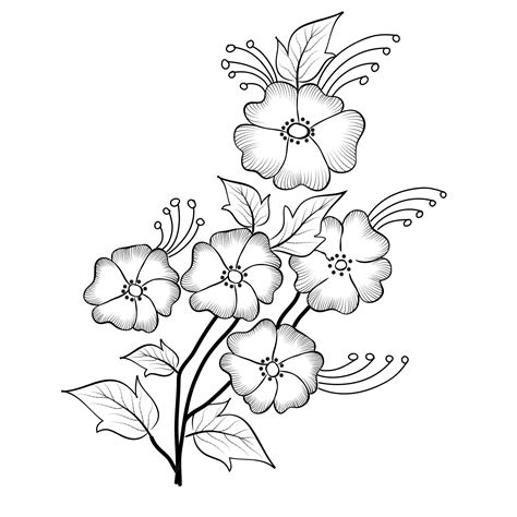 Premium Vector | Free Vector line art and hand drawing flower art black ...