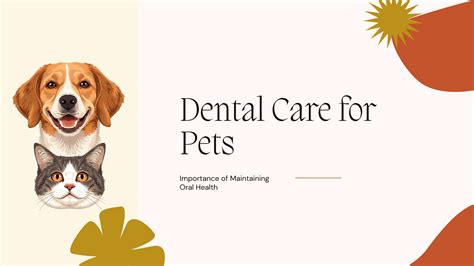 Dental Care for Pets - What is its Importance? - PetFunda