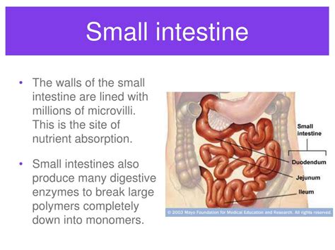 Image result for Visual Spatial Examples