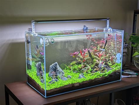 One Aqua Big Aquarium Tank – 18x12x12 Inch Ultra-Clear, Rimless ...