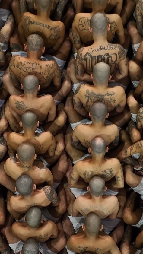 Mario Salvador Nudes