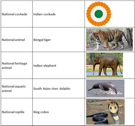 Our National Symbols - GK for UKG PDF Download