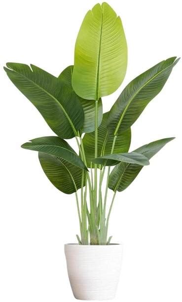 Artificial Plants Online In India | Flipkart | 24-Dec-25