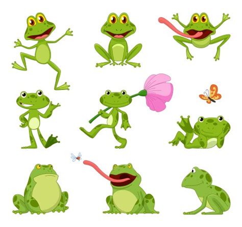 Image result for Frog Amphibia Cartoon
