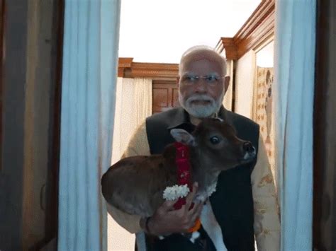 A small guest born in PM accommodation | PM આવાસમાં આવ્યું નાનકડું ...