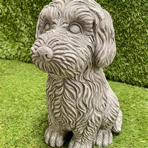 Image result for Large Cockapoo