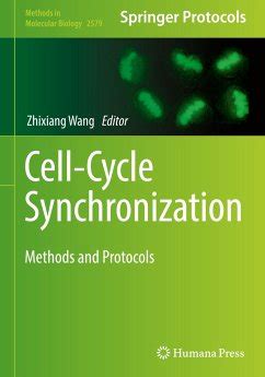 Image result for Cell Cycle Synchronization