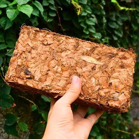 Coco Chips Brick – 5kg – Lalit Enterprise