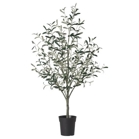 FEJKA artificial potted plant, in/outdoor Olive tree, 19 cm (7 ½") - IKEA