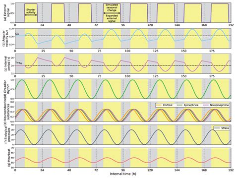 Image result for Matplotlib Scatter Funcanimation