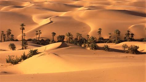 Sahara Desert Wallpapers - Top Free Sahara Desert Backgrounds ...