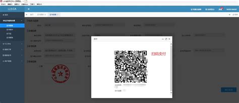 数字证书认证系统（运营级）-上海铠射信息科技有限公司