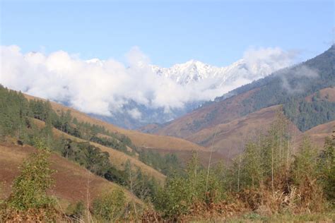 Slinking through Dibang Valley – researchers find six colour forms of ...