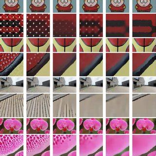 Texture Filtering Methods 的图像结果