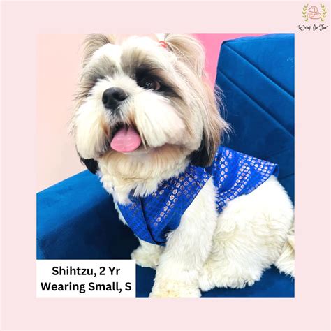 Buy Blue Festive Dog Sherwani Jacket starts at ₹899 – Wrapinfur
