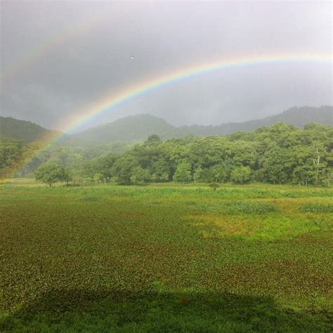 RANGERWOOD MACHAN JUNGLE TREE HOUSE (Thekkady, Kerala) - Lodge Reviews ...