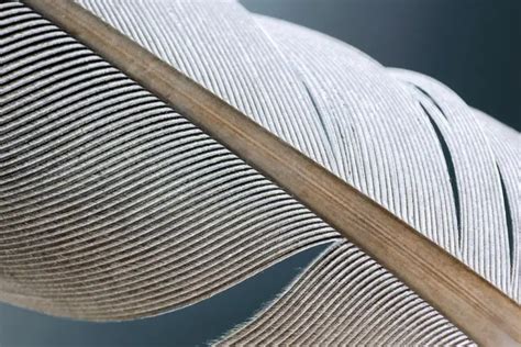 Image result for How to Reduce Input Delay