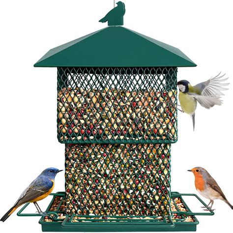 Best Bird Feeders For Pacific Northwest at Emily Morse blog