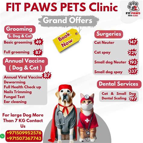 fit paws pets clinic | ‎عيادة فيت باوس للحيوانات الأليفة في العين #cat# ...