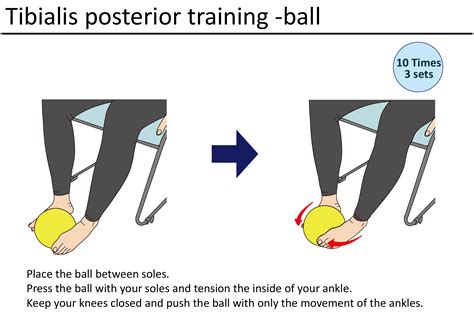 Image result for Rotation Joint Movement