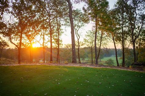 NEW HOME PAGE — Wild Spring Dunes