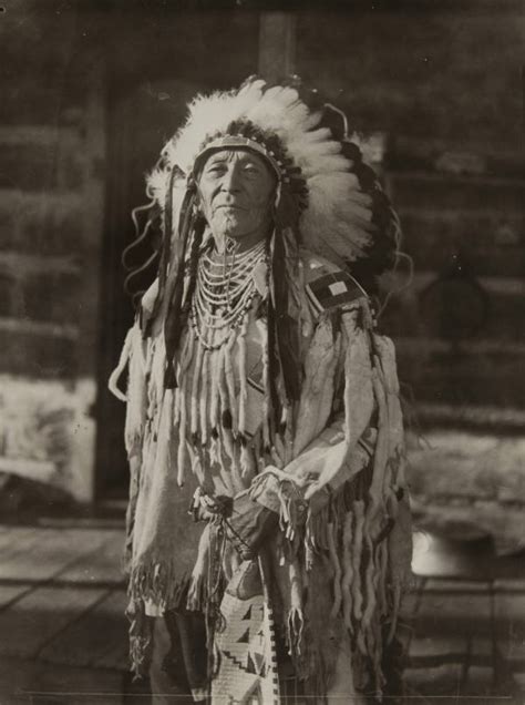 Unraveling the Ancient Wisdom: A Journey into Crow Tribe’s Enduring Traditions